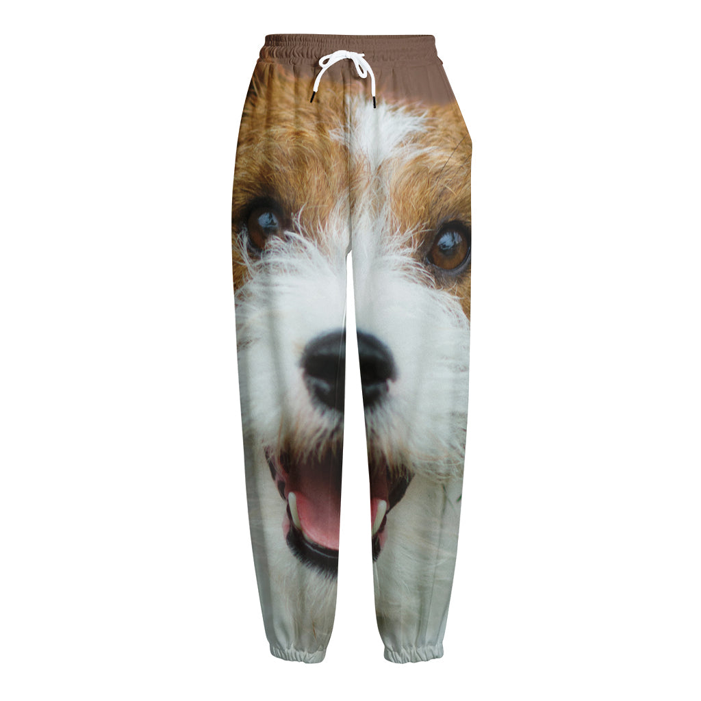 Jack Russell Terrier Portrait Print Fleece Lined Knit Pants
