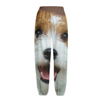 Jack Russell Terrier Portrait Print Fleece Lined Knit Pants