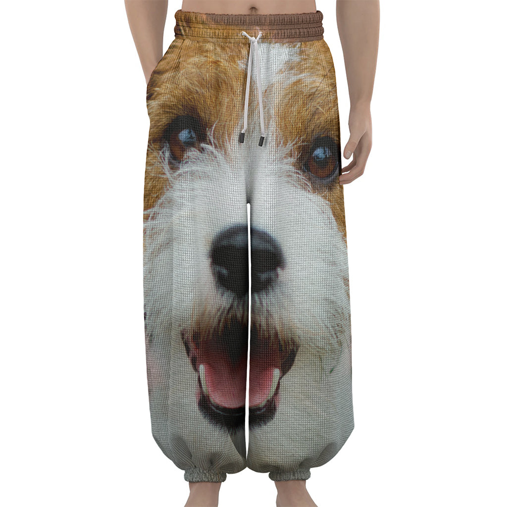 Jack Russell Terrier Portrait Print Lantern Pants
