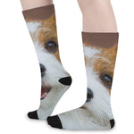 Jack Russell Terrier Portrait Print Long Socks