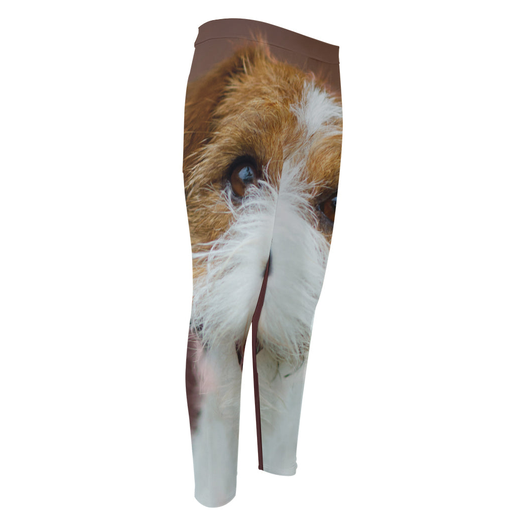 Jack Russell Terrier Portrait Print Men's Compression Pants