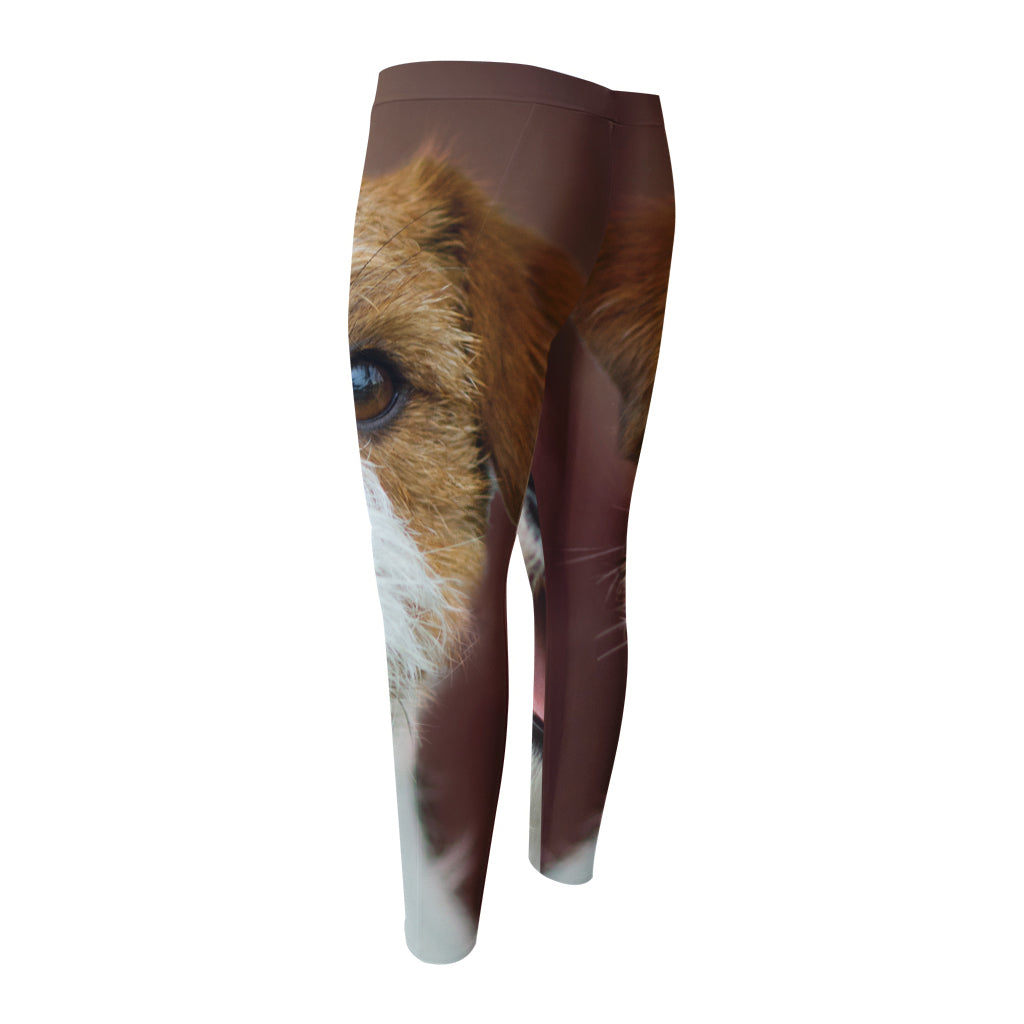 Jack Russell Terrier Portrait Print Men's Compression Pants