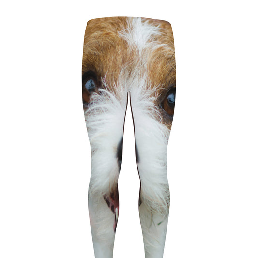 Jack Russell Terrier Portrait Print Men's leggings