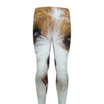 Jack Russell Terrier Portrait Print Men's leggings