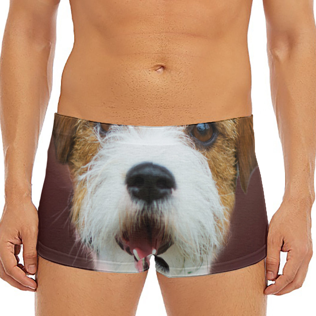 Jack Russell Terrier Portrait Print Men's Short Boxer Briefs