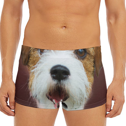 Jack Russell Terrier Portrait Print Men's Short Boxer Briefs