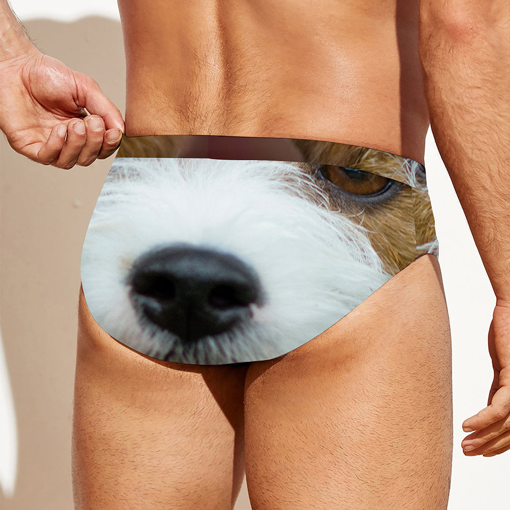 Jack Russell Terrier Portrait Print Men's Swim Briefs