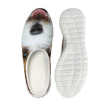 Jack Russell Terrier Portrait Print Mesh Casual Shoes