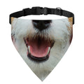 Jack Russell Terrier Portrait Print Over The Collar Dog Bandana