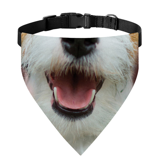 Jack Russell Terrier Portrait Print Over The Collar Dog Bandana