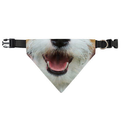 Jack Russell Terrier Portrait Print Over The Collar Dog Bandana