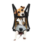 Jack Russell Terrier Portrait Print Pet Carrier Backpack