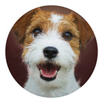 Jack Russell Terrier Portrait Print Round Blanket