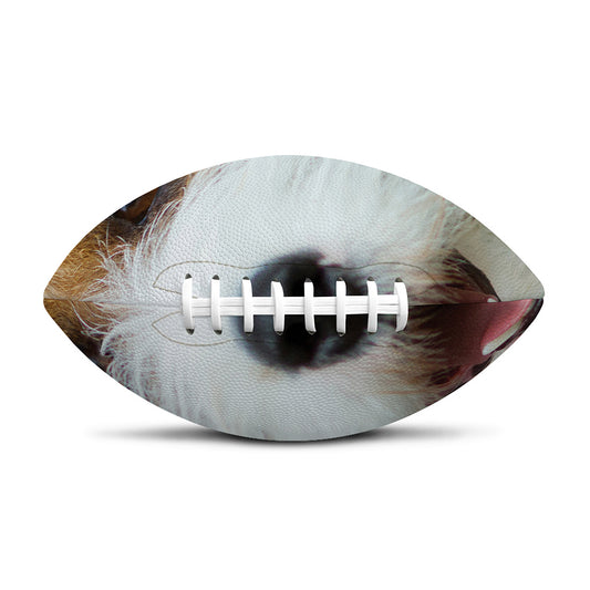 Jack Russell Terrier Portrait Print Rugby Ball
