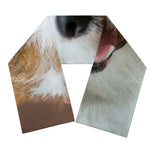 Jack Russell Terrier Portrait Print Scarf