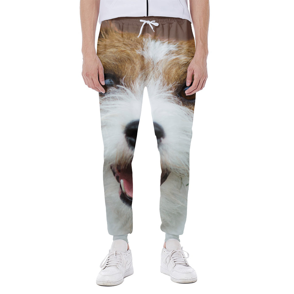 Jack Russell Terrier Portrait Print Scuba Joggers