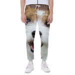 Jack Russell Terrier Portrait Print Scuba Joggers