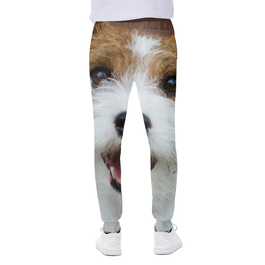 Jack Russell Terrier Portrait Print Scuba Joggers