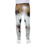 Jack Russell Terrier Portrait Print Scuba Joggers