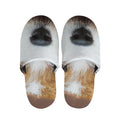 Jack Russell Terrier Portrait Print Slippers