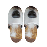 Jack Russell Terrier Portrait Print Slippers