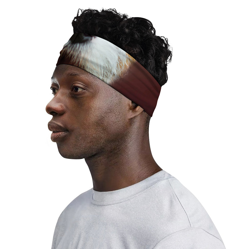 Jack Russell Terrier Portrait Print Sports Headband