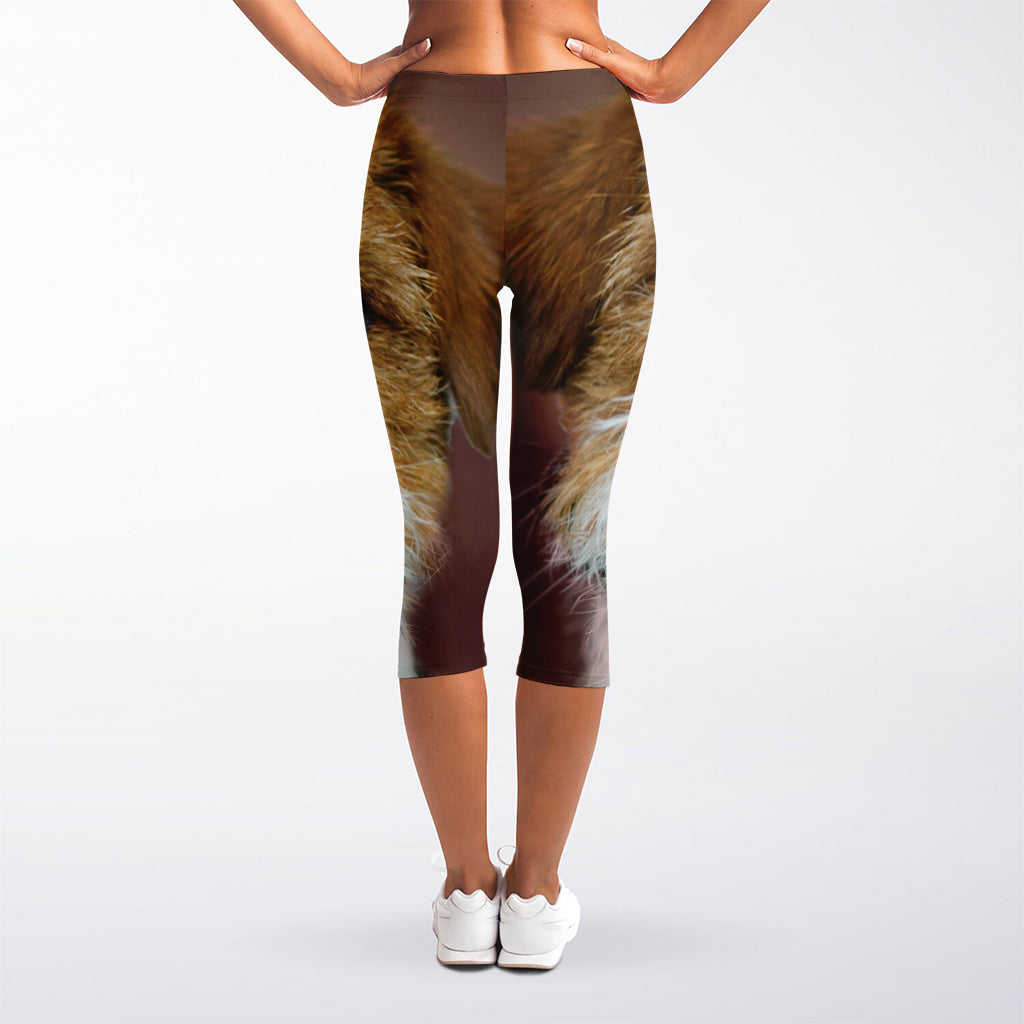 Jack Russell Terrier Portrait Print Women's Capri Leggings