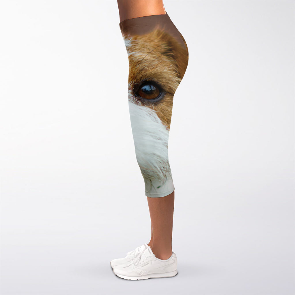 Jack Russell Terrier Portrait Print Women's Capri Leggings