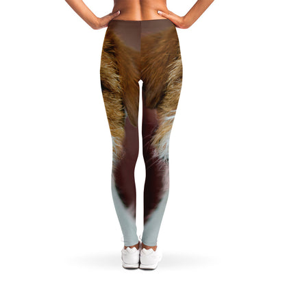 Jack Russell Terrier Portrait Print Women's Leggings