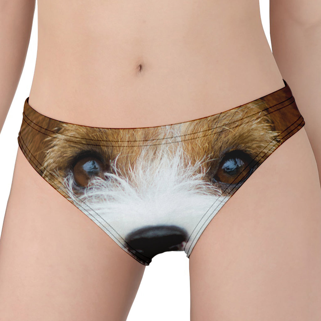 Jack Russell Terrier Portrait Print Women's Panties