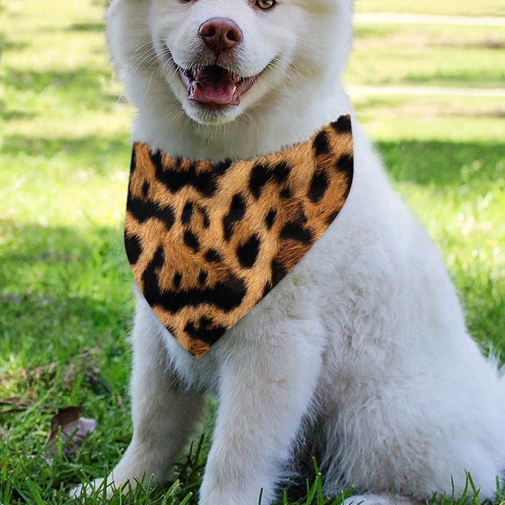 Jaguar Fur Pattern Print Over The Collar Dog Bandana