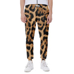 Jaguar Fur Pattern Print Scuba Joggers