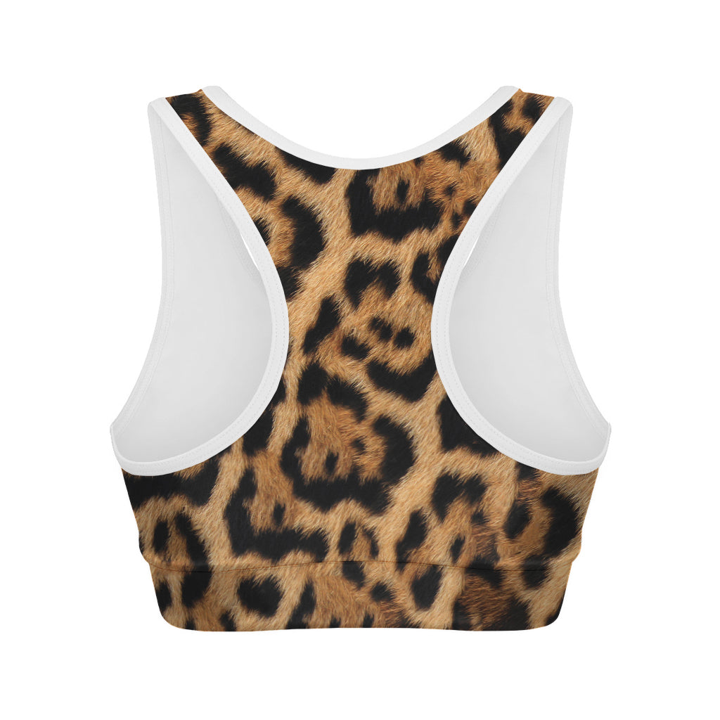 Jaguar Fur Pattern Print Women's Sports Bra
