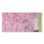 Japanese Cherry Blossom Tree Print Beach Towel