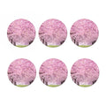 Japanese Cherry Blossom Tree Print Coaster Set