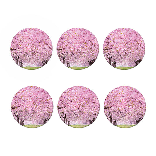 Japanese Cherry Blossom Tree Print Coaster Set