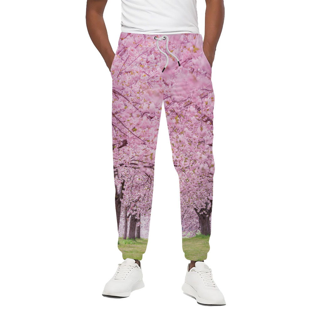 Japanese Cherry Blossom Tree Print Cotton Pants