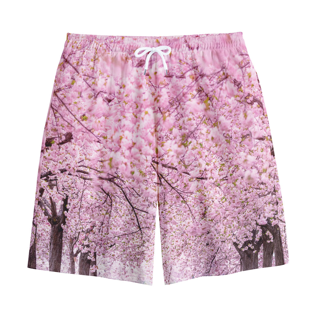 Japanese Cherry Blossom Tree Print Cotton Shorts