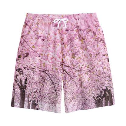 Japanese Cherry Blossom Tree Print Cotton Shorts