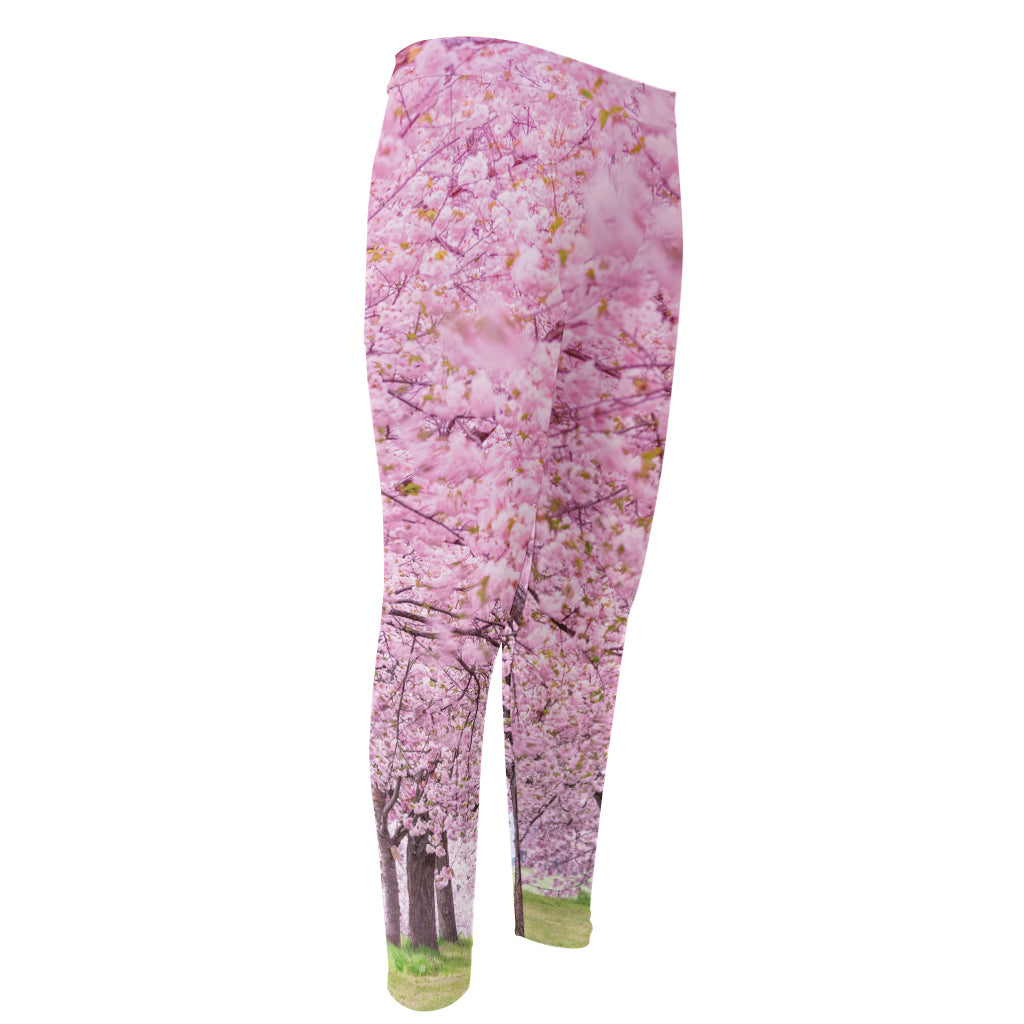Japanese Cherry Blossom Tree Print Men's Compression Pants