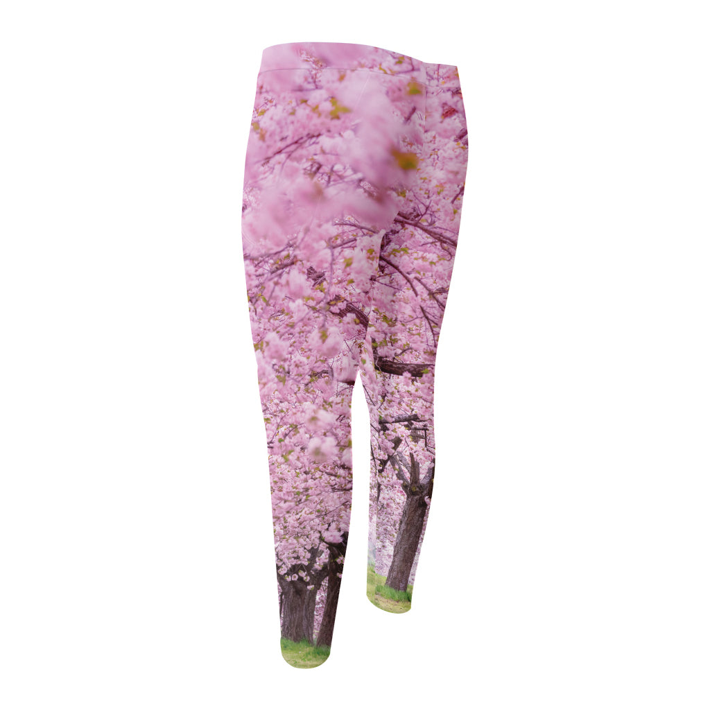 Japanese Cherry Blossom Tree Print Men's Compression Pants