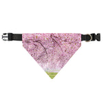 Japanese Cherry Blossom Tree Print Over The Collar Dog Bandana