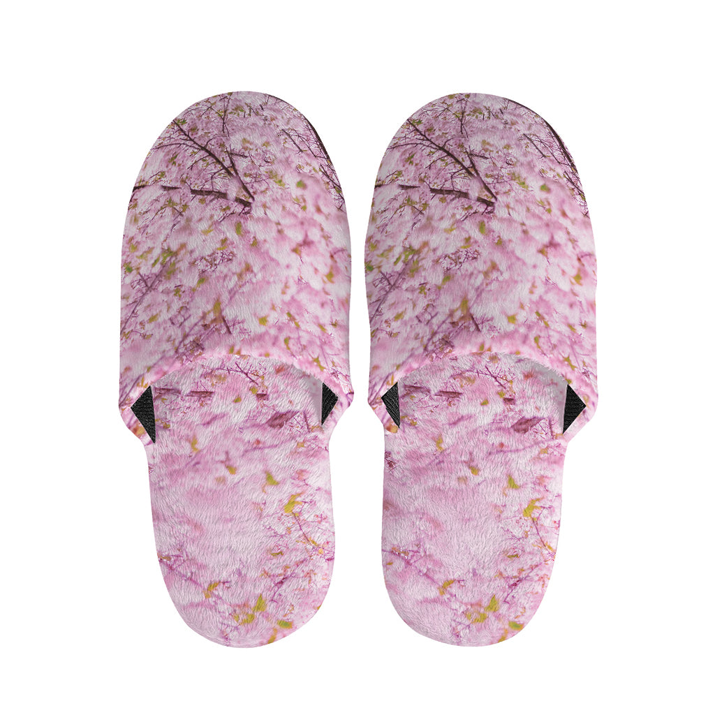 Japanese Cherry Blossom Tree Print Slippers