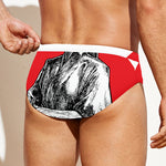 Japanese Samurai Girl Print Men's Swim Briefs
