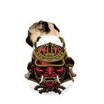 Japanese Samurai Helmet Print Dog Zip Up Jacket