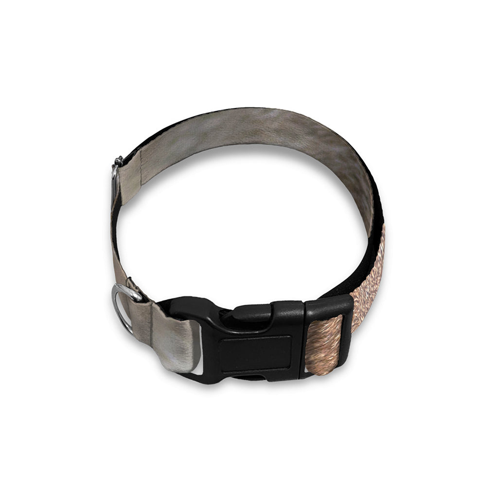 Jungle Wolf Print Dog Collar