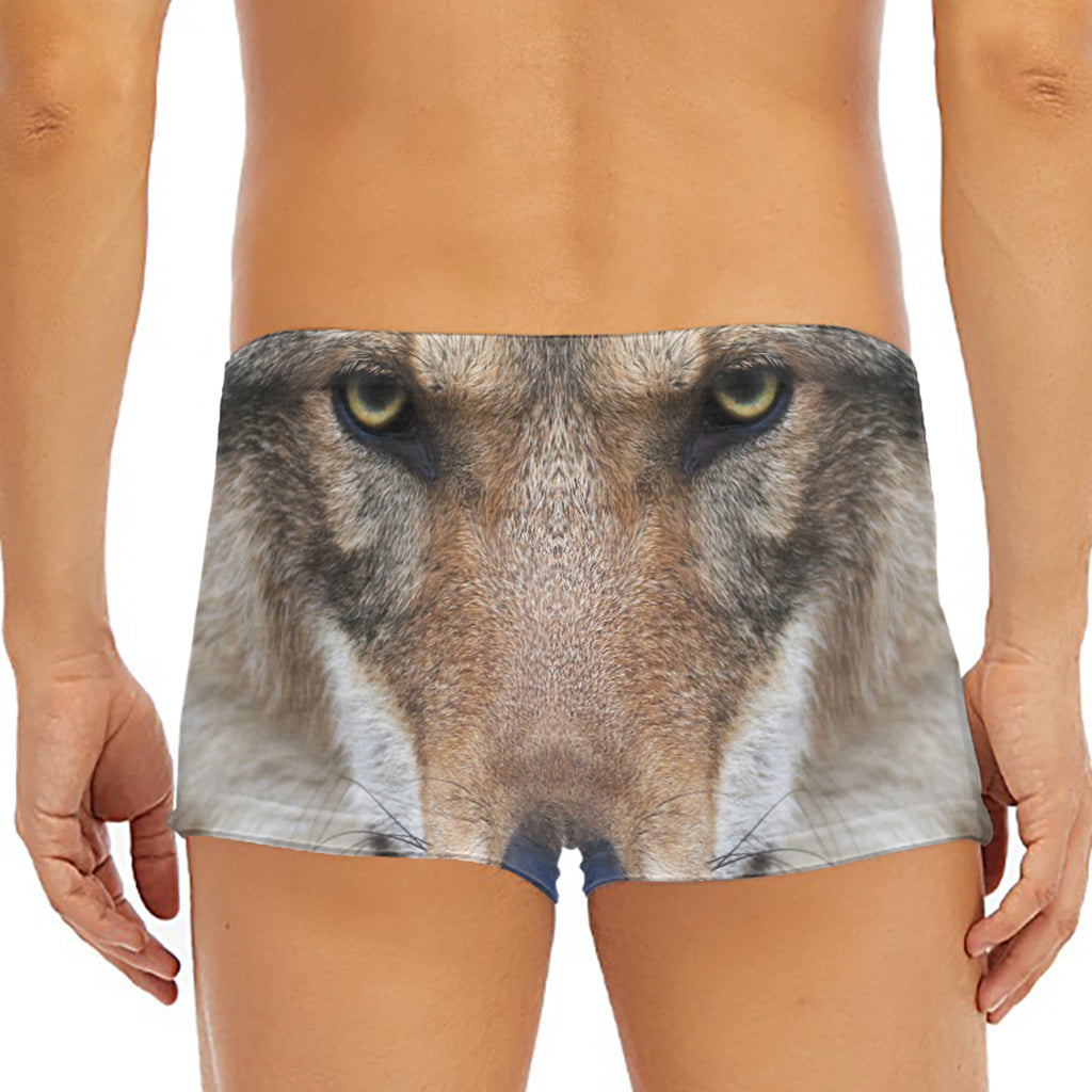 Jungle Wolf Print Men's Short Boxer Briefs