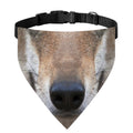 Jungle Wolf Print Over The Collar Dog Bandana
