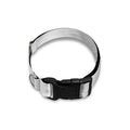Karate Cat Print Dog Collar