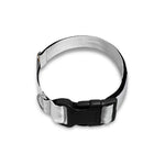 Karate Cat Print Dog Collar